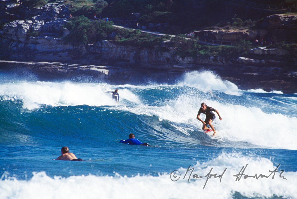 surfers on the coast