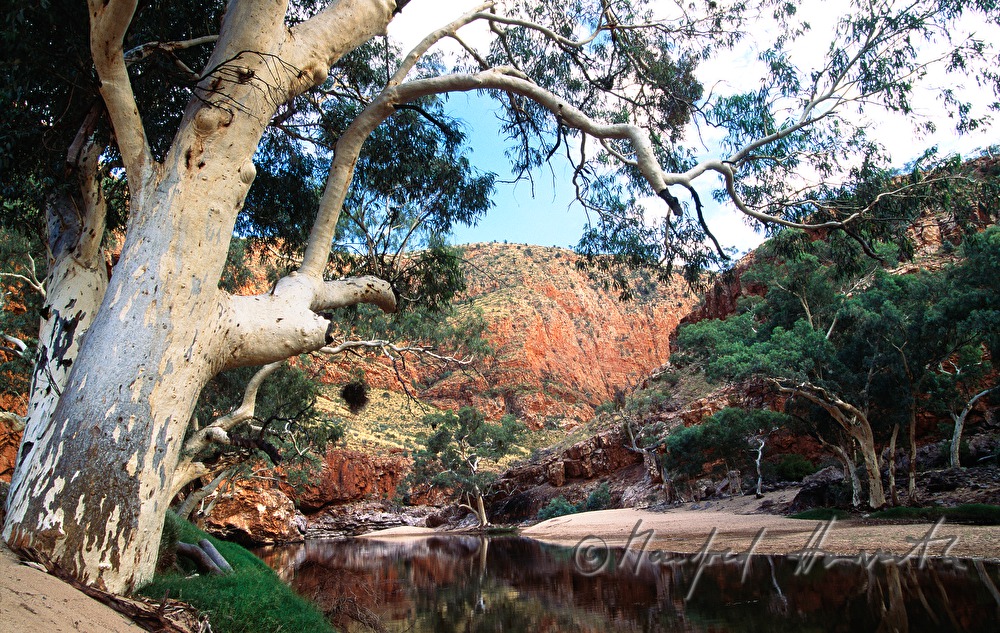 valley of the MacDonnell Ranges