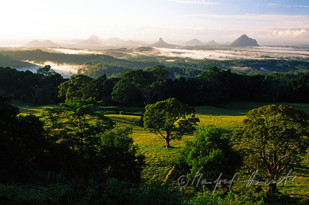 morning mist over the Glass House Mountains