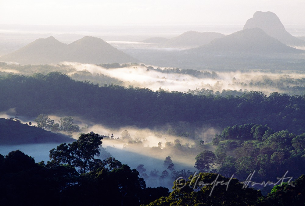 morning mist over the Glass House Mountains
