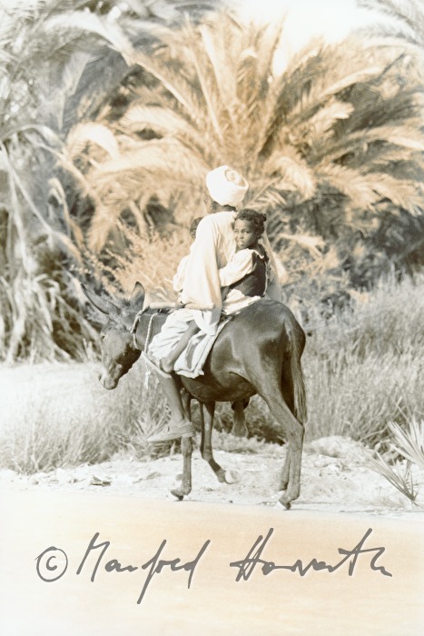 man and boy ride a  donkey