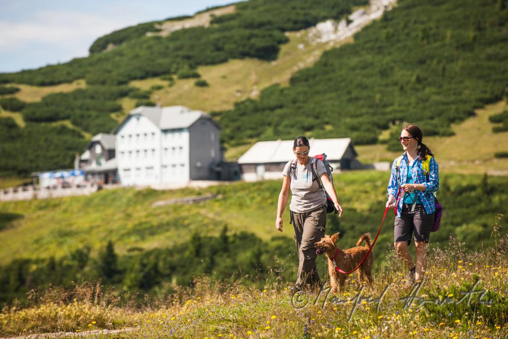 hikers with dog on the panorama path