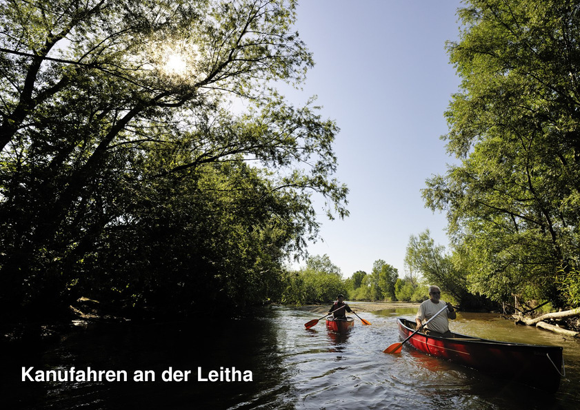 Canoeing on Leitha