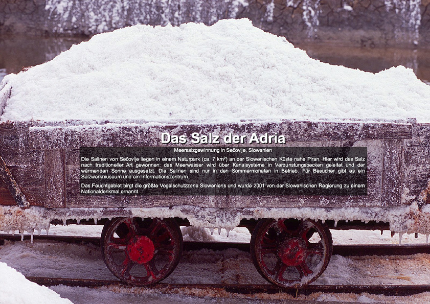Salt from the Adriatic Sea