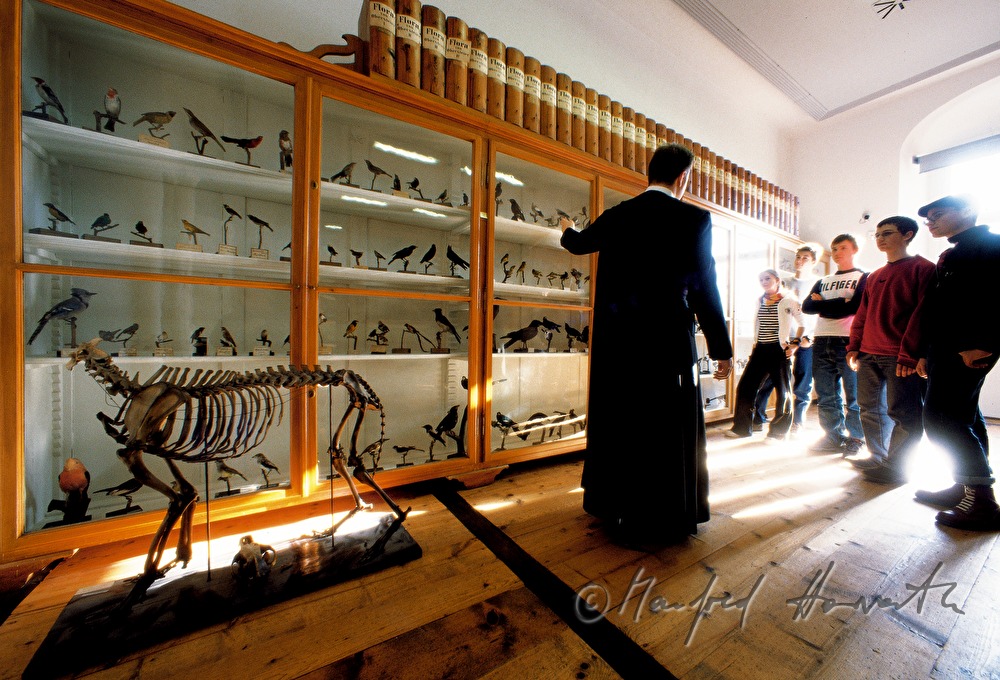 in the natural historic museum of abbey St. Admont