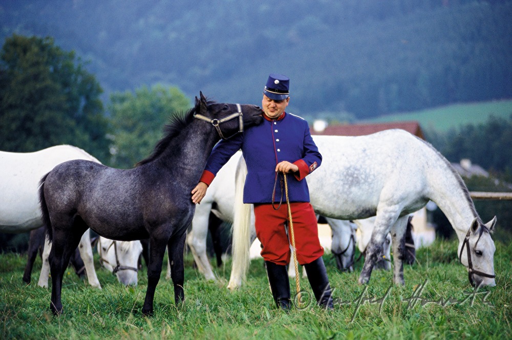 herdsman from the Federal Stud Farm