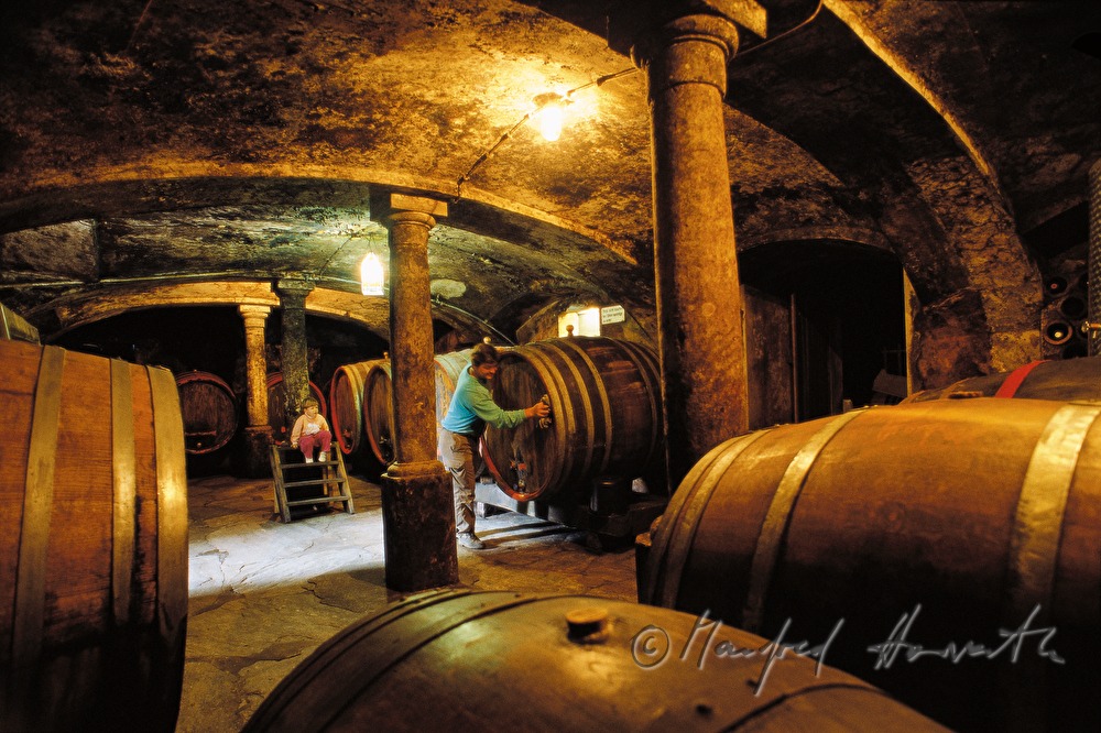 winecellar of the winery of the castle