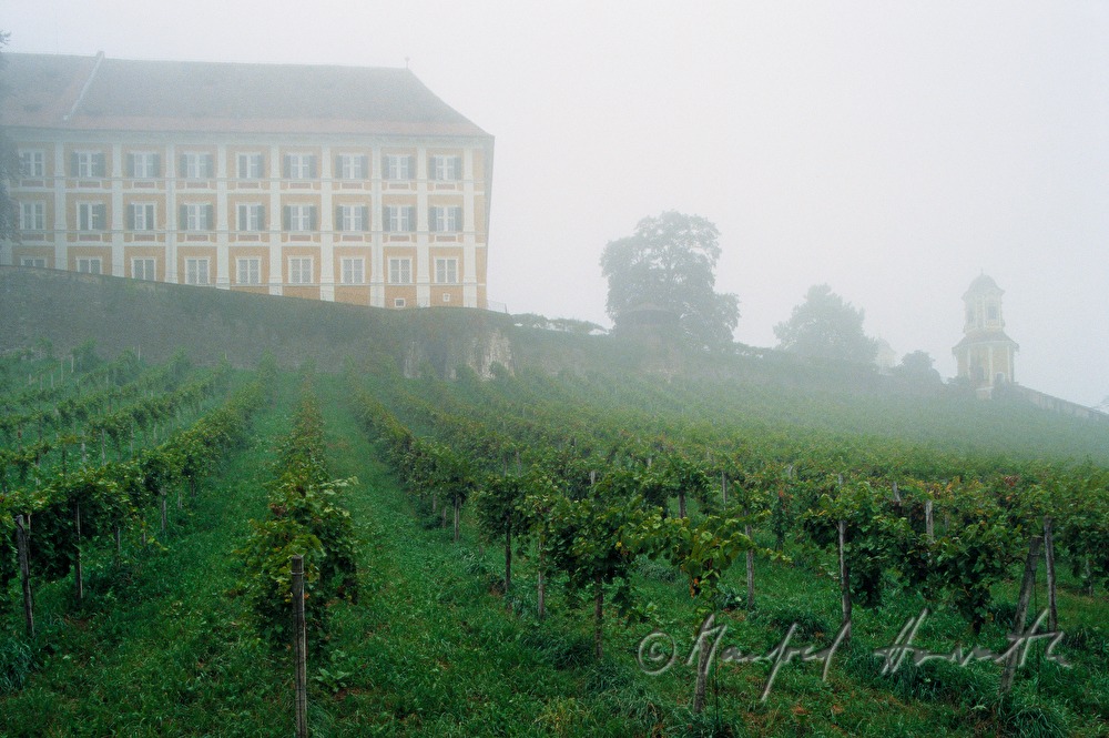 wineyard and castle Stainz