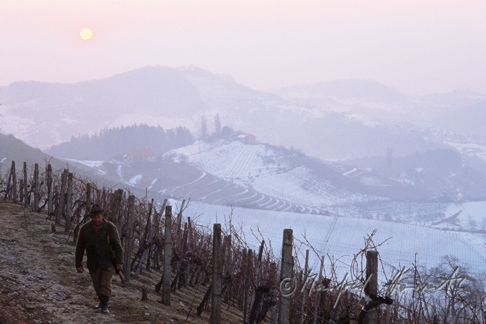 Southern Styria Wine Route