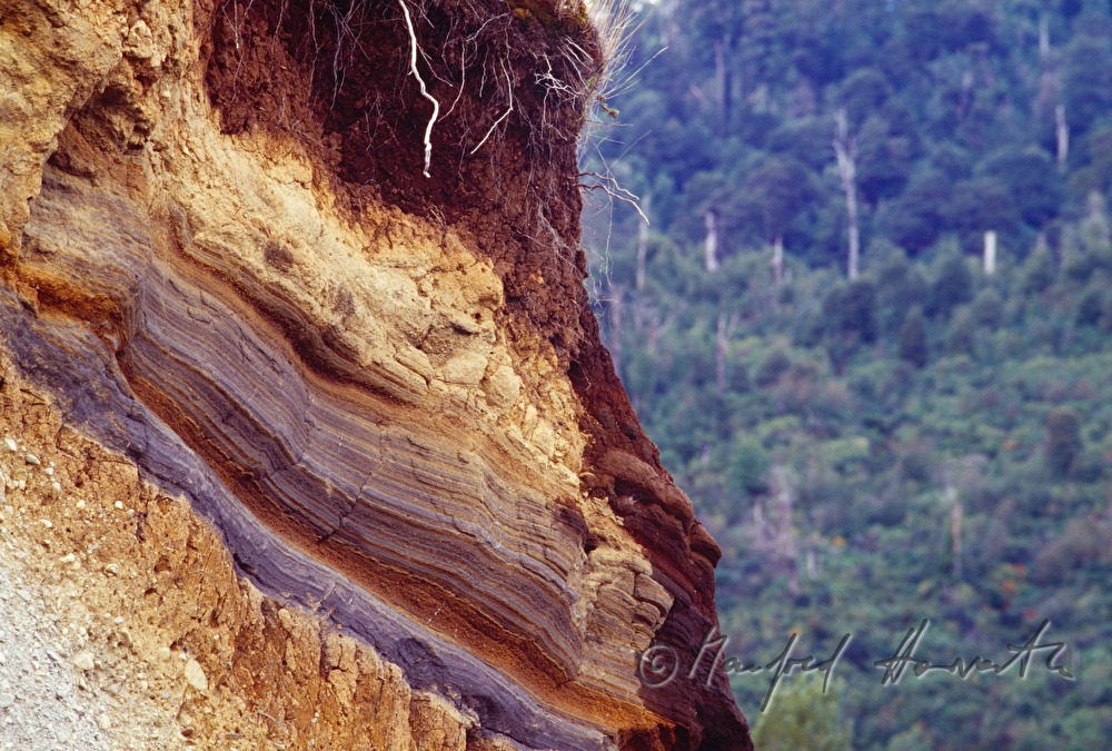 broken hill and forest