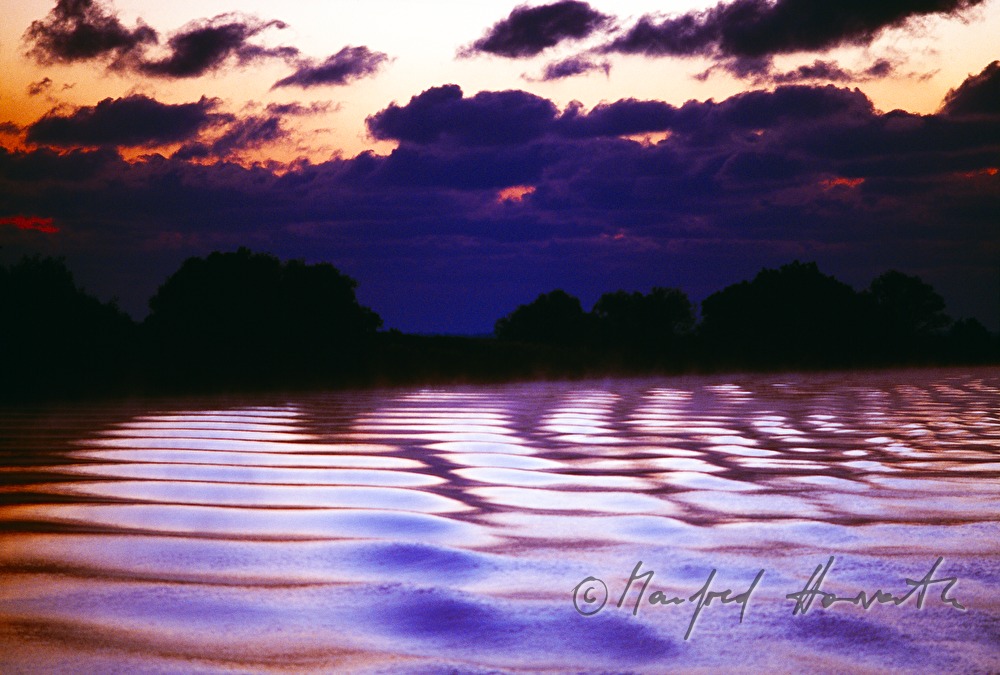 waves in rose morning light
