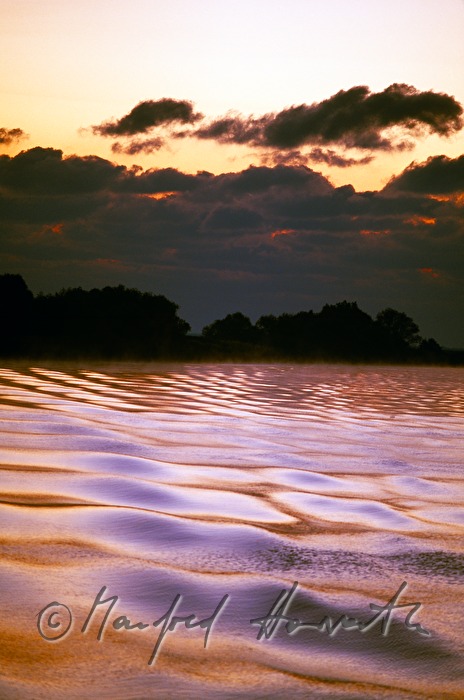 waves in rose morning light