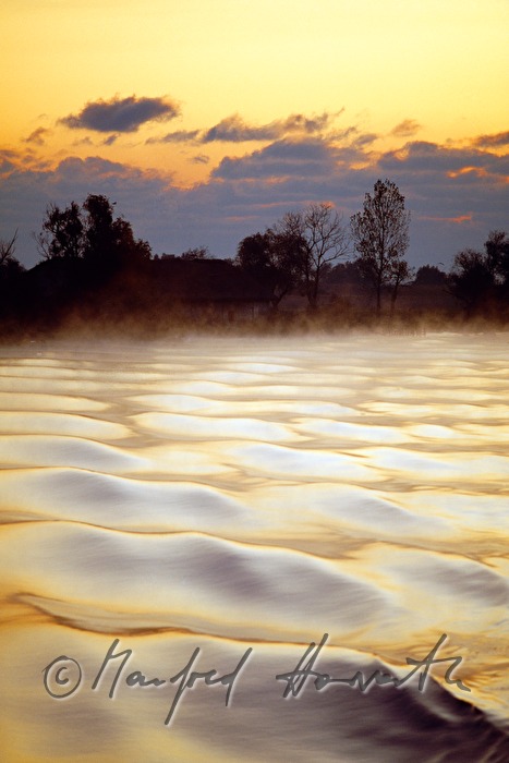 waves in rose morning light