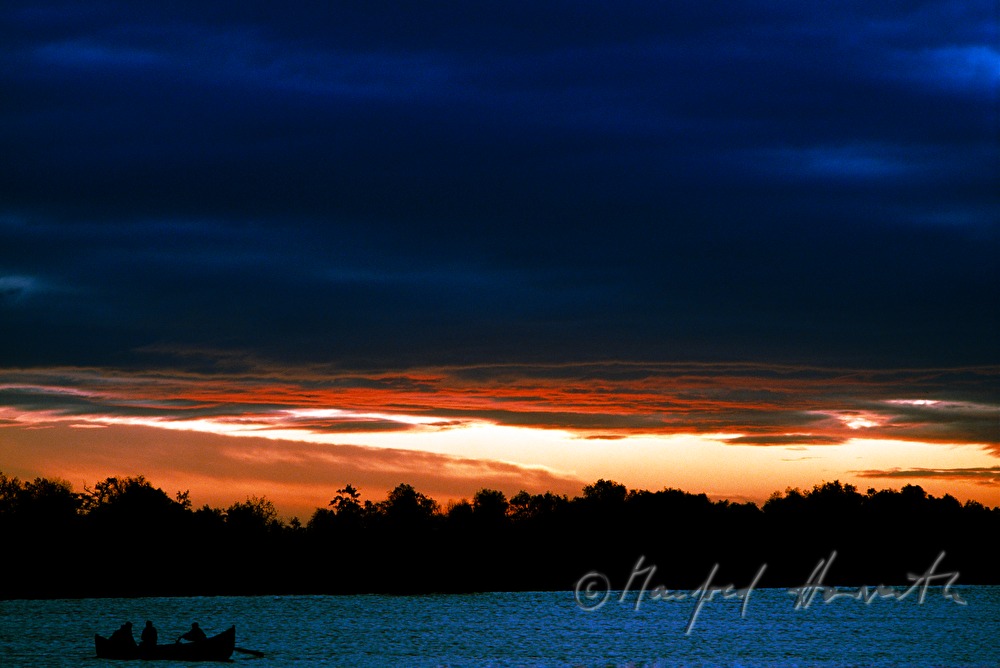 fisherman rowing to the nets