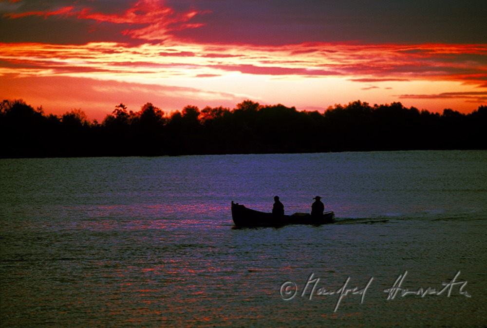 fisherman rowing to the nets