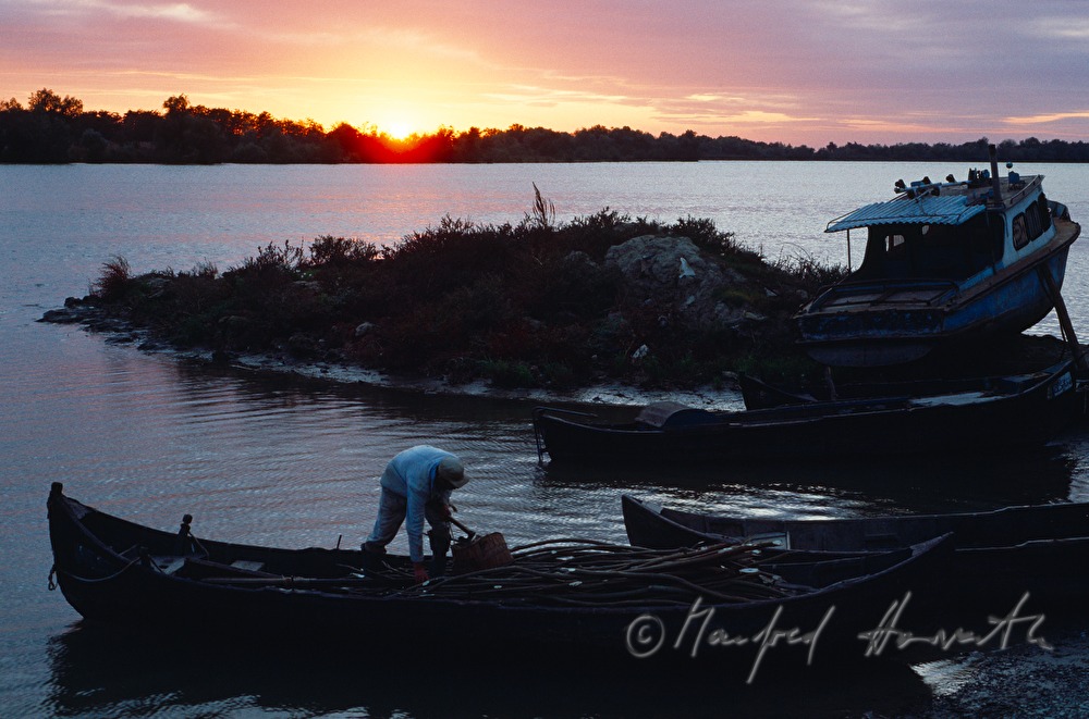farmer chops wood on his rowing boat