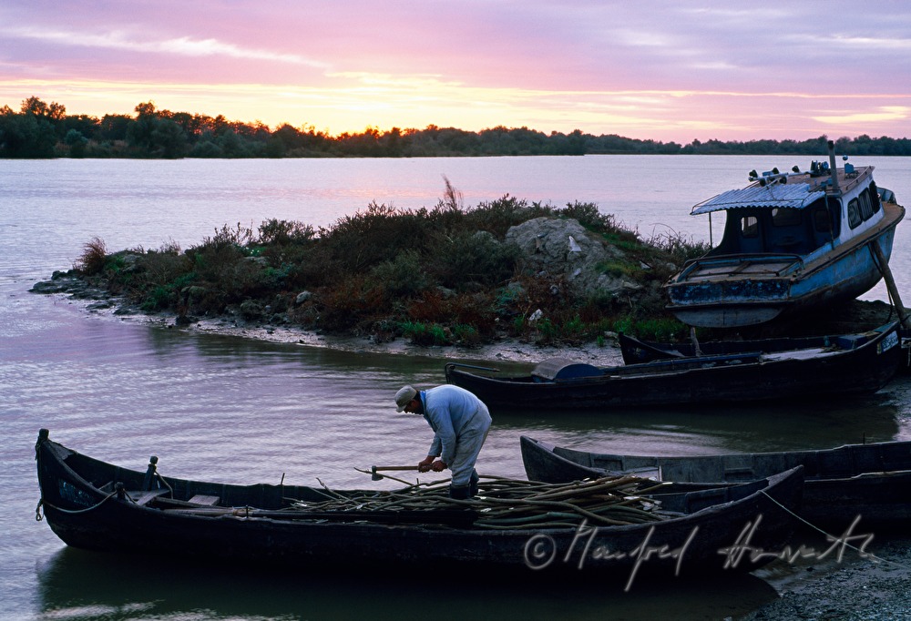 farmer chops wood on his rowing boat
