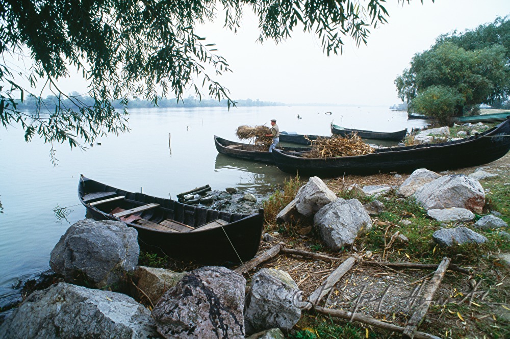 boat filled with reed on the shore