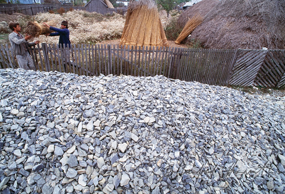 reed workers building a reed cone