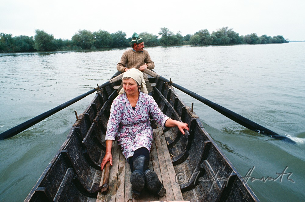 on the way to the vegetable patch