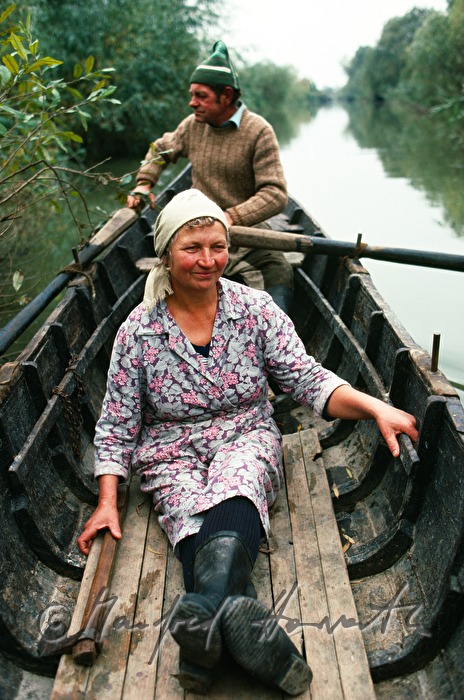 on the way to the vegetable patch