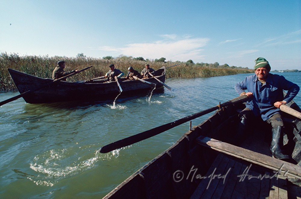 fisherman rowing to the nets