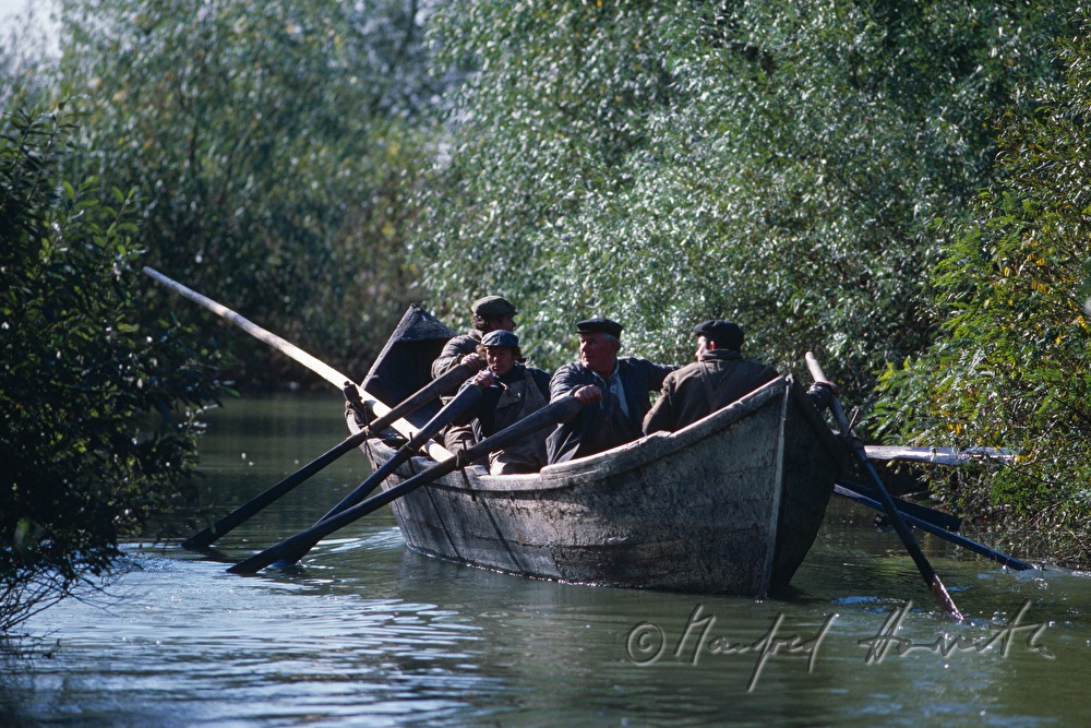 fisherman in a branch of the Danube