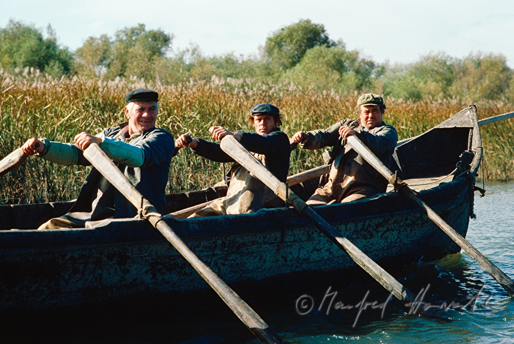 fisherman in a branch of the Danube