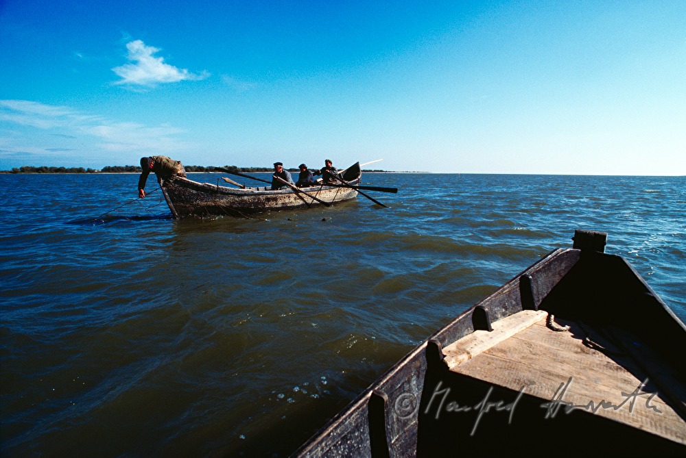 fisherman rowing to the nets
