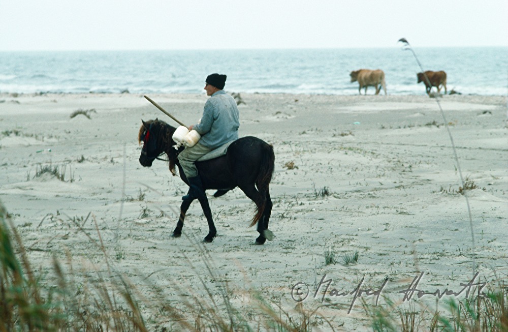 horseman on the shore of the Black Sea