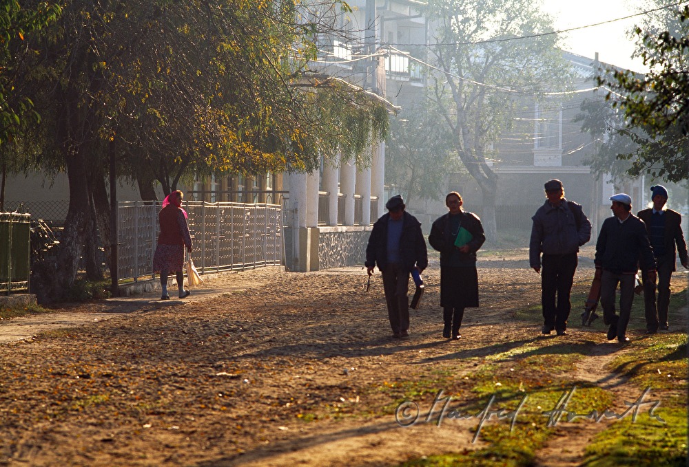 pedestrians on the main road