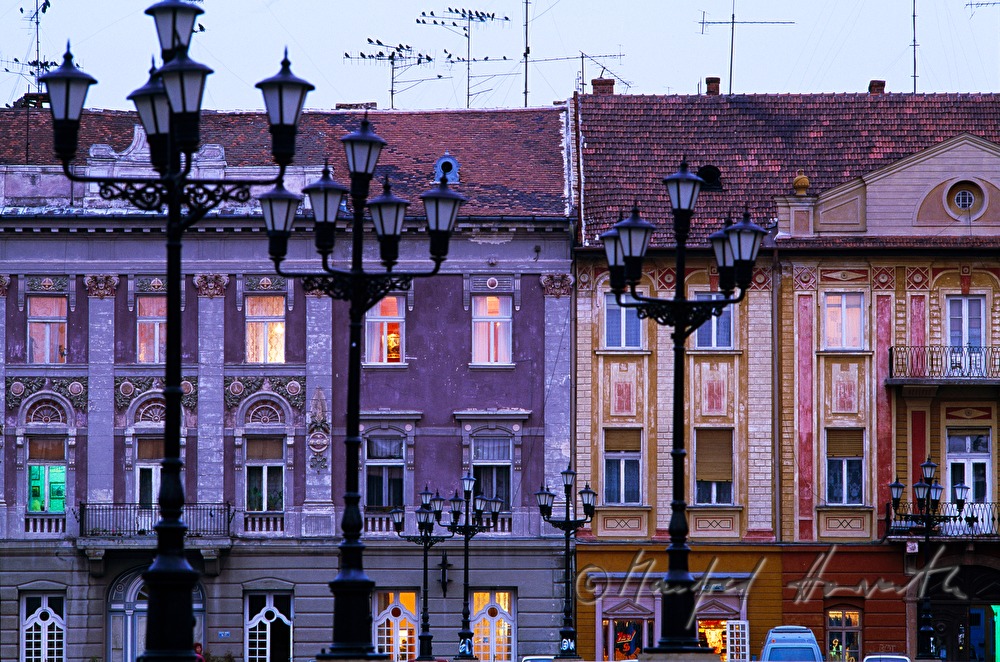 ensemble of houses and crows