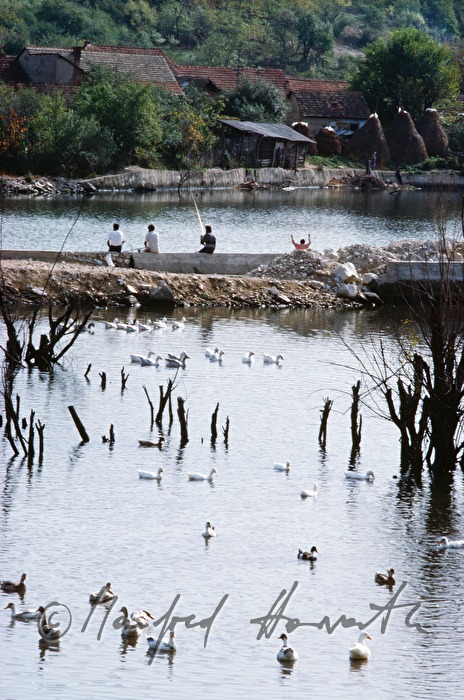 fishermen on the mole