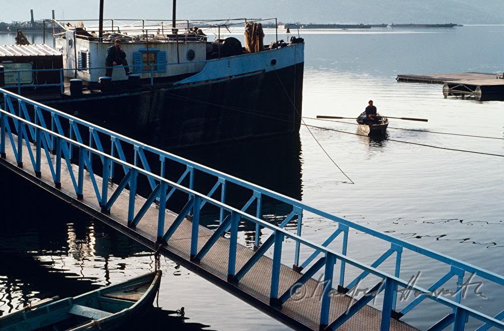 harbour and fishing boat