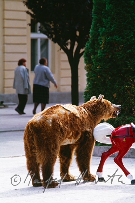 stuffed brown bear