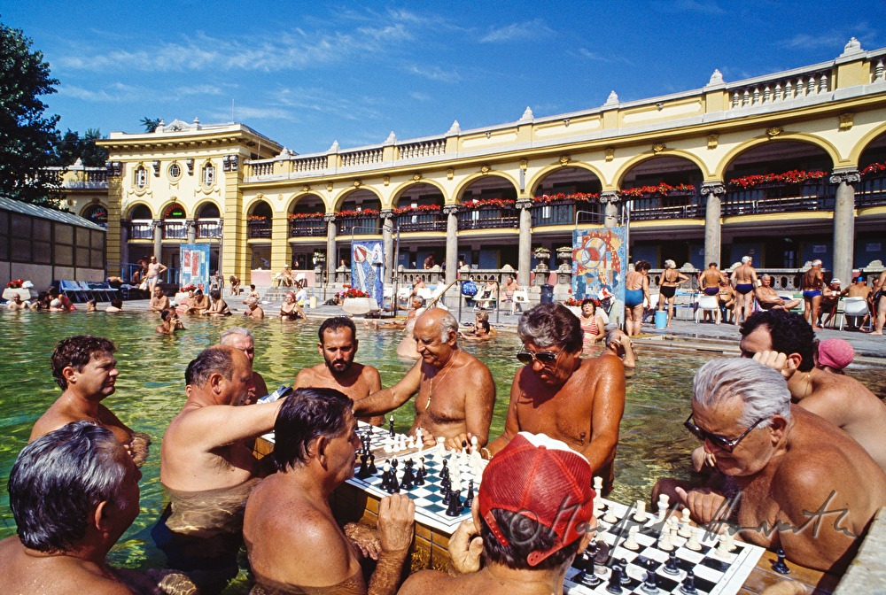 swimming pool and chess players