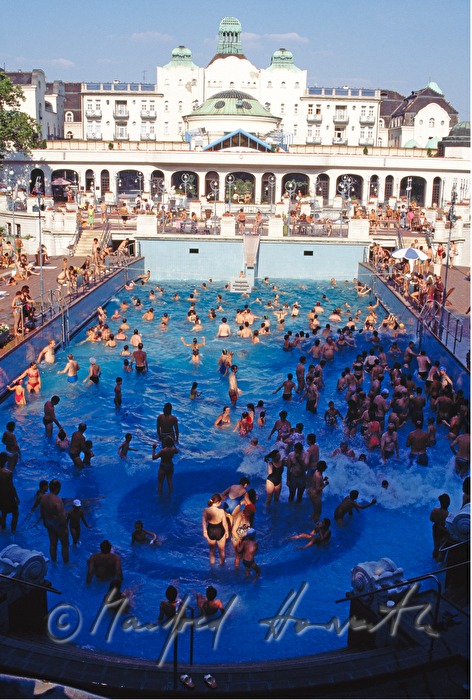 outdoor wave pool and swimmers