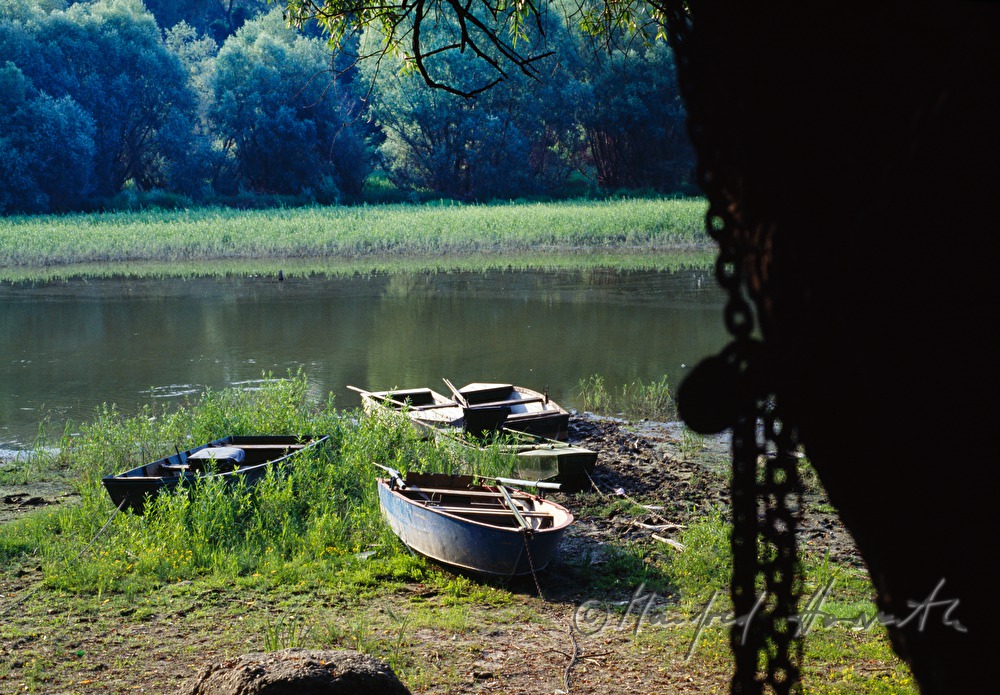 rowing boats on the shore of the Danube