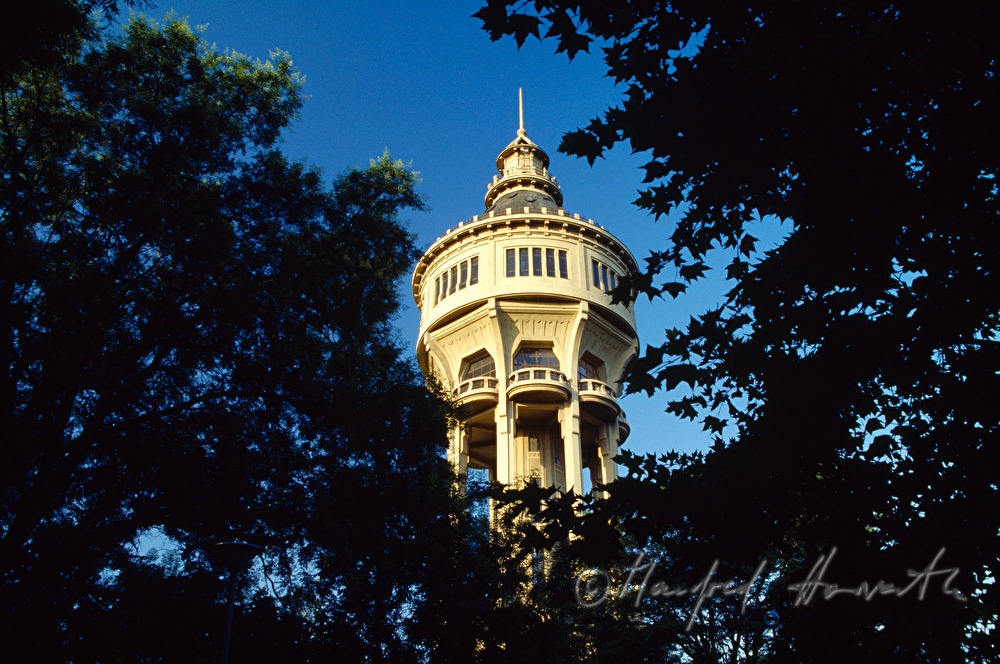 water reservoir tower surrounded by trees