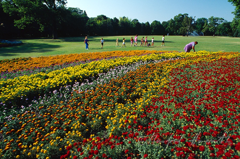 horticulturist and school class in the flower bed