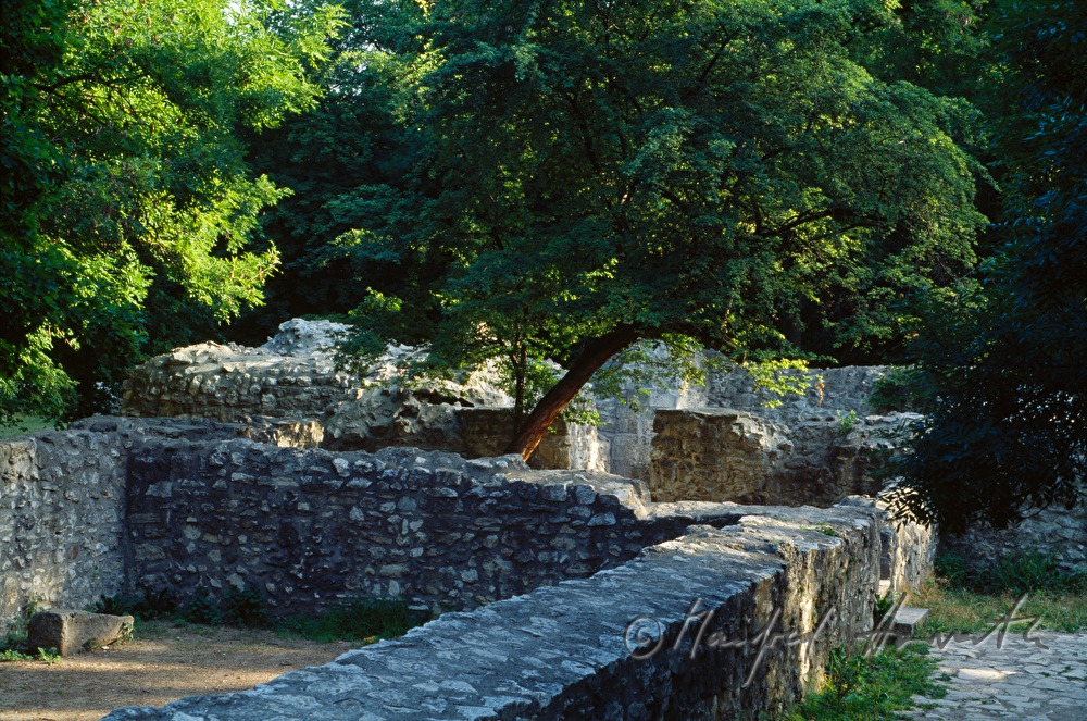 ruins of a Dominican convent