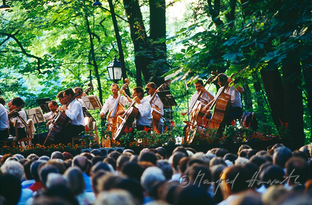 open air concert in the park