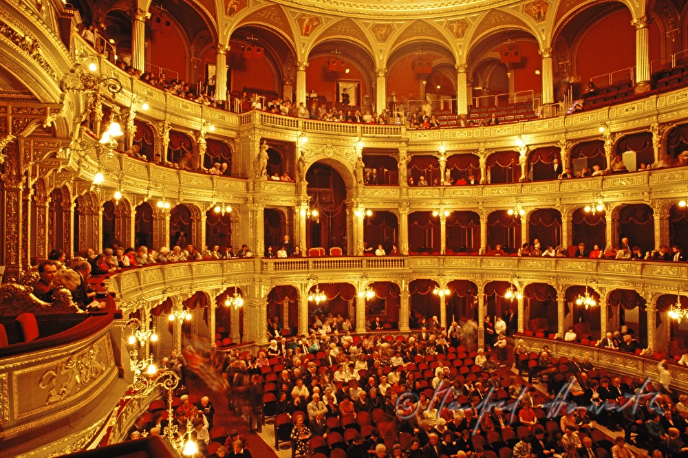 audience hall during a break
