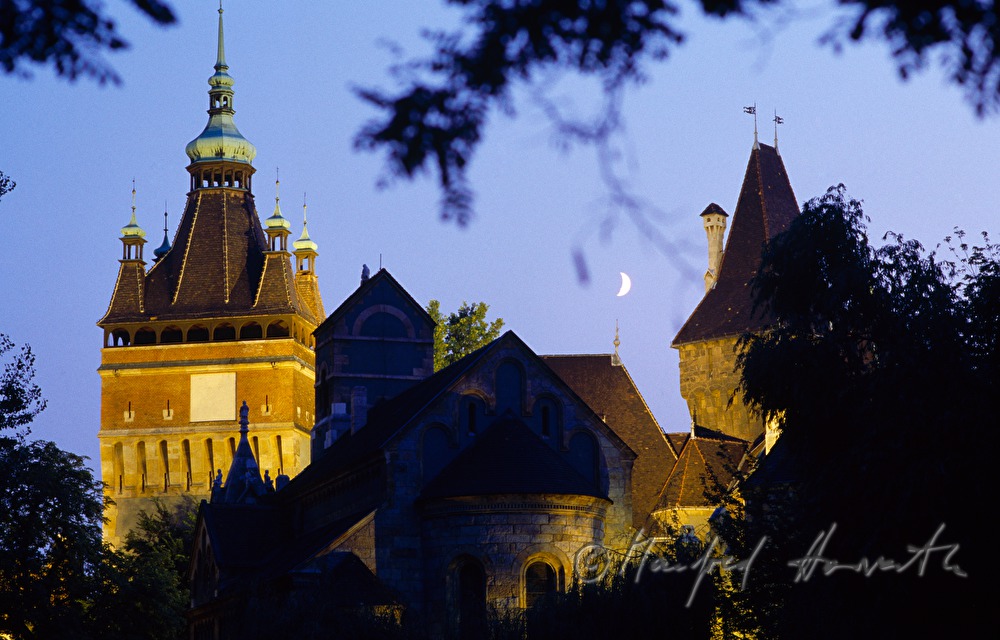 Castle Vajdahunyad and full moon