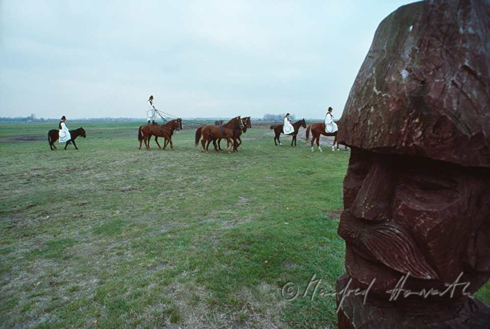 acrobatic horse show for tourists