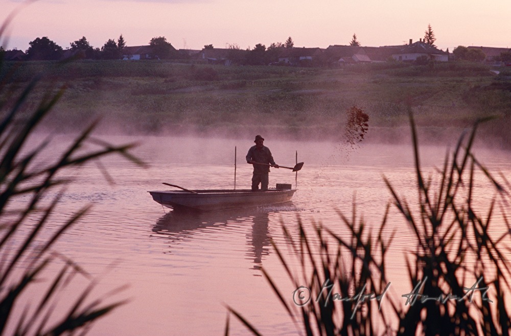 fisherman ona fish lake feeding