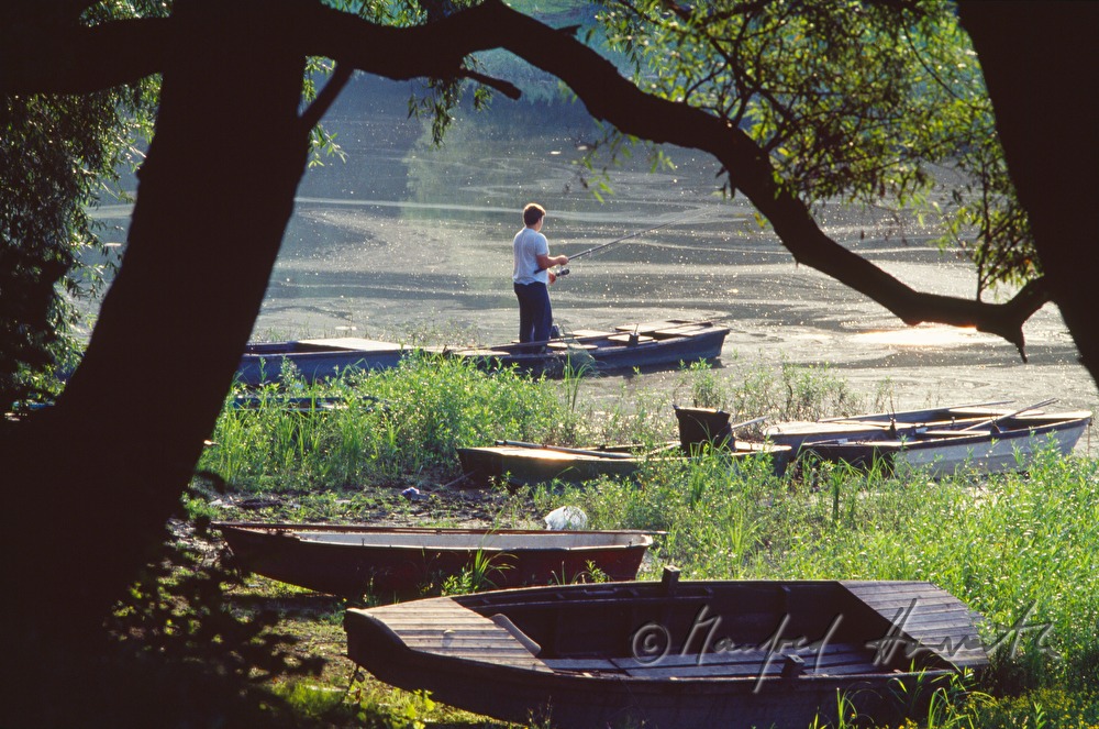 fisherman in the floodplain of the Danube