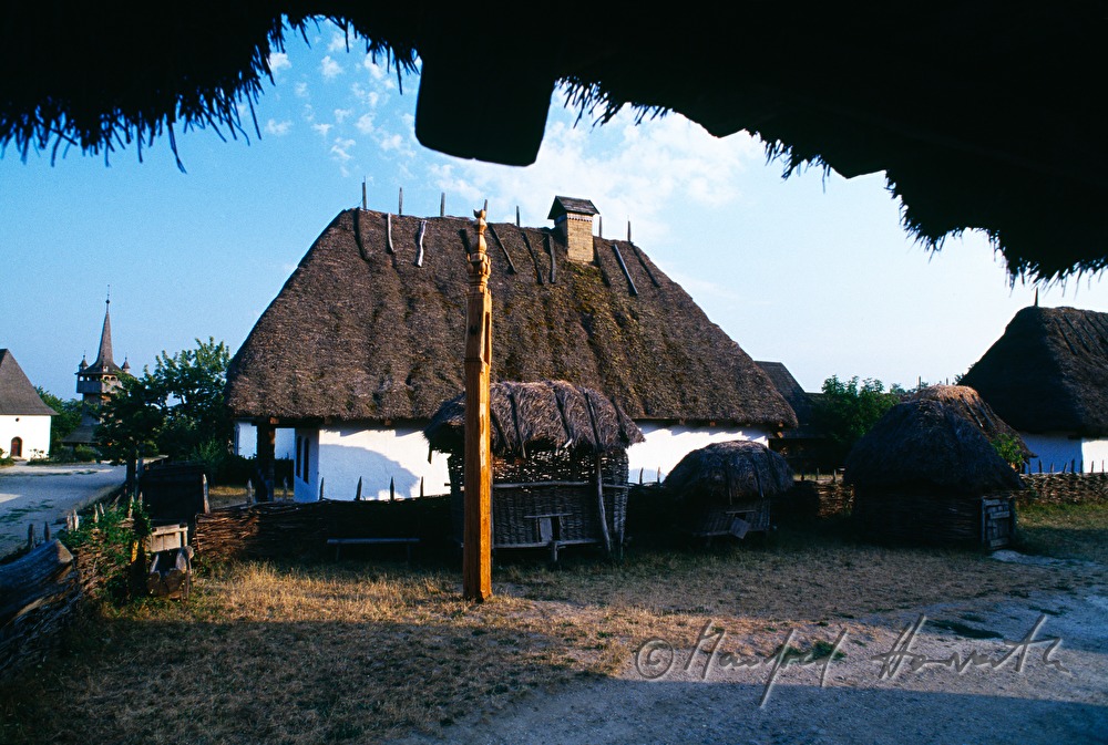 farm house with thatched roof