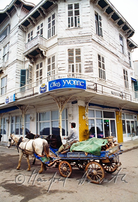 horse-drawn vehicle and wooden mansion
