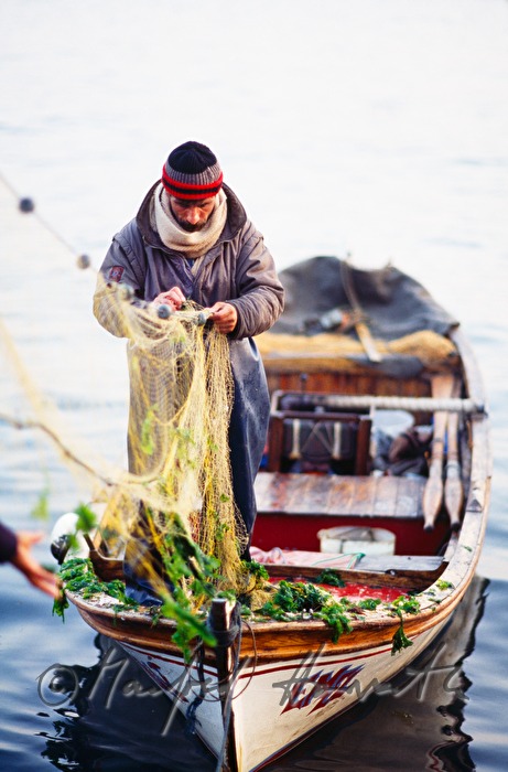 fisherman cleaning the net